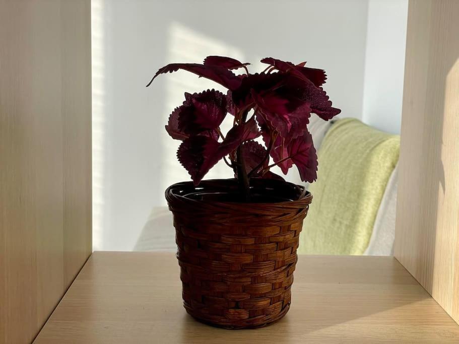 Appartement 73M2 - 2 Chambres - Parking - Wi-Fi Toulouse Exterior foto