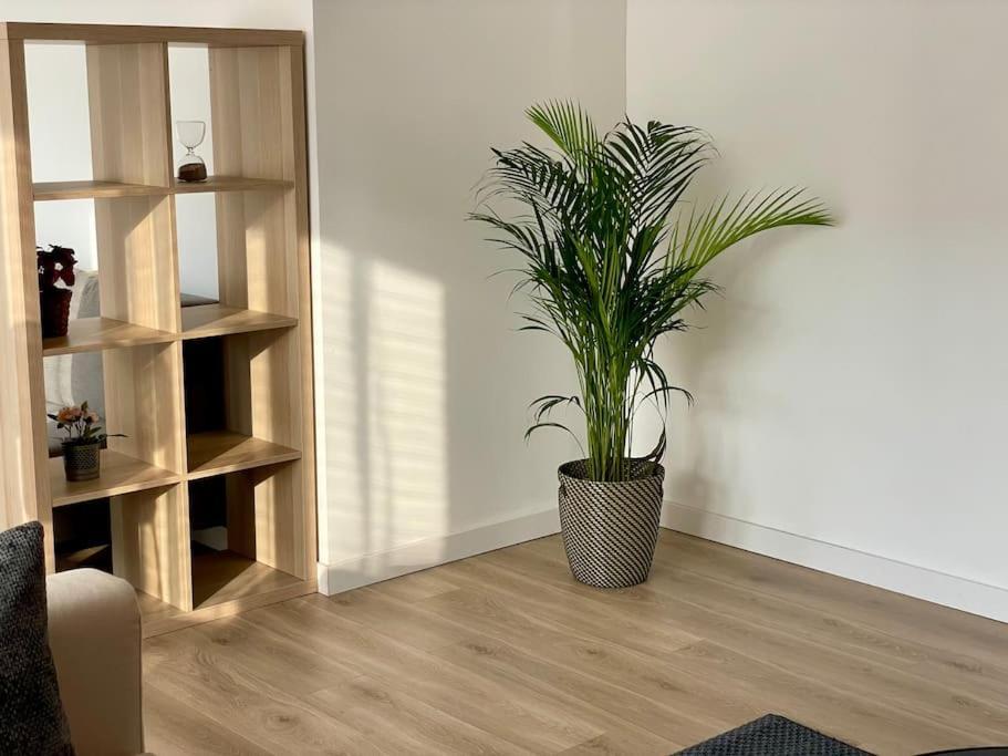 Appartement 73M2 - 2 Chambres - Parking - Wi-Fi Toulouse Exterior foto