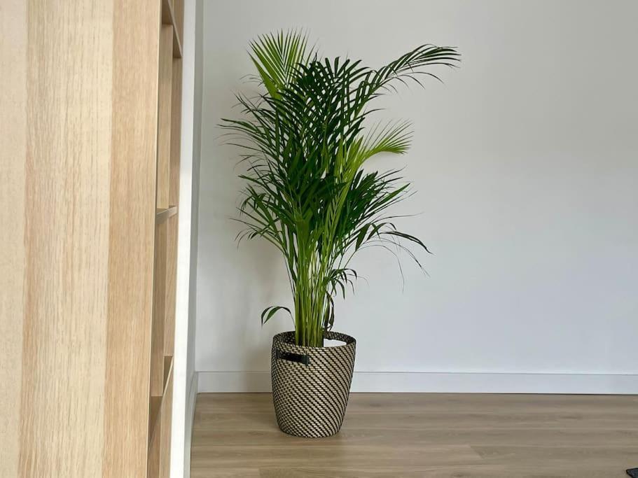 Appartement 73M2 - 2 Chambres - Parking - Wi-Fi Toulouse Exterior foto